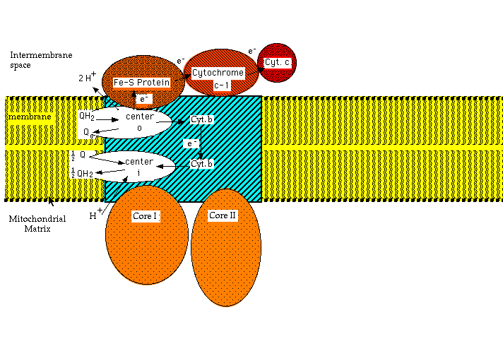 [Slide]