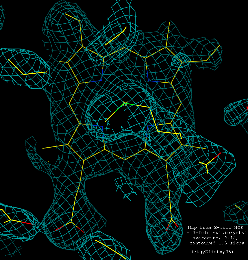 heme conventions