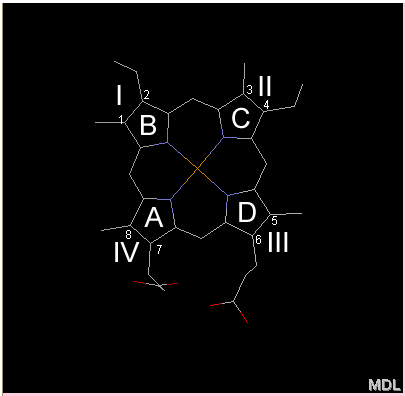 heme conventions