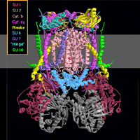 Click for stereo images